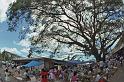 WT 0100 003-37 Fiji Nadi Market